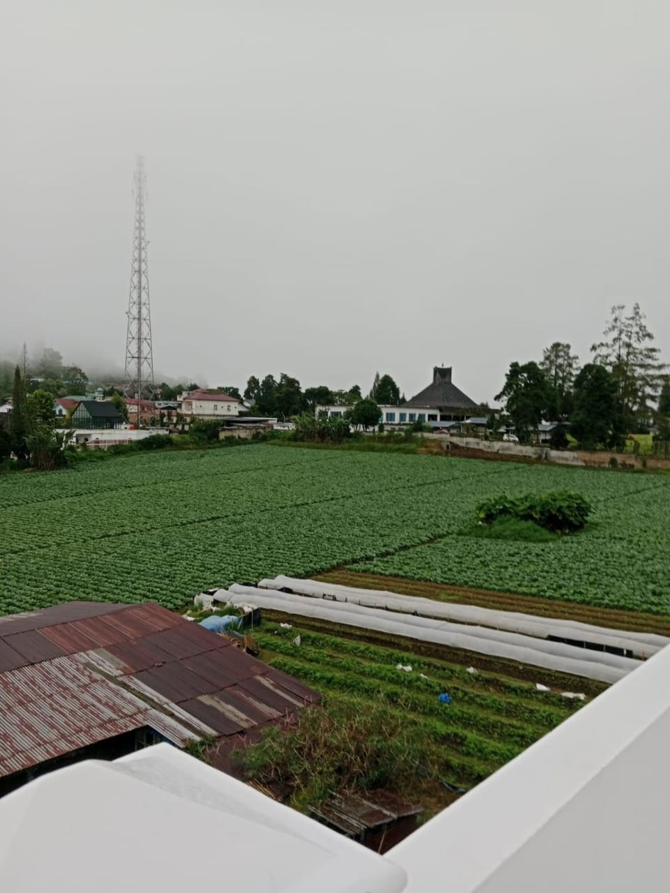 LA97 Homestay Vacation rental in Indonesia