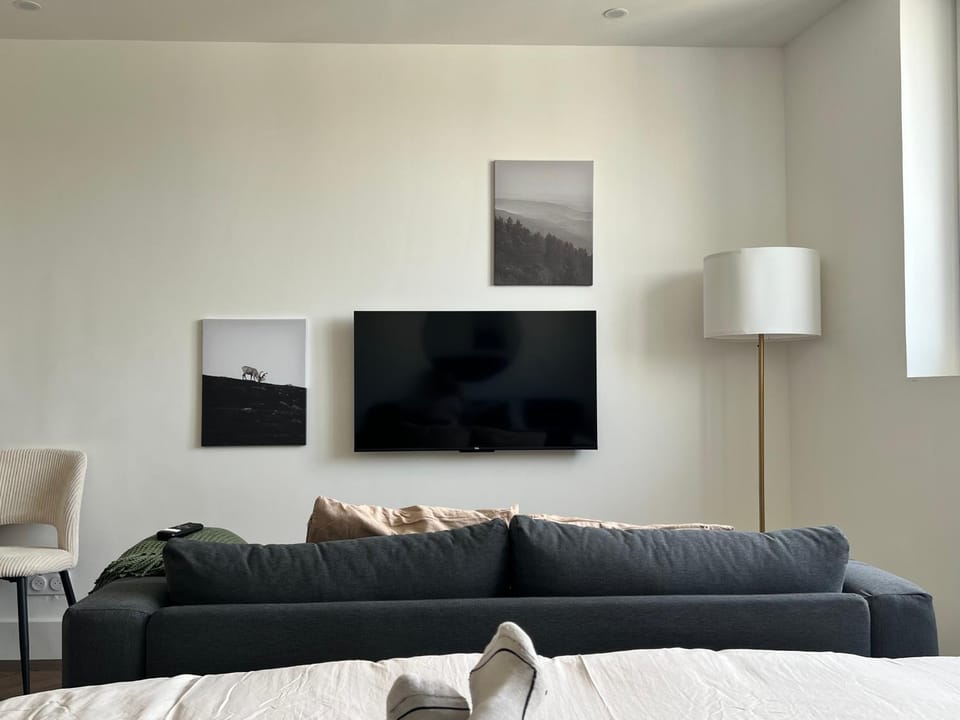 TV and multimedia