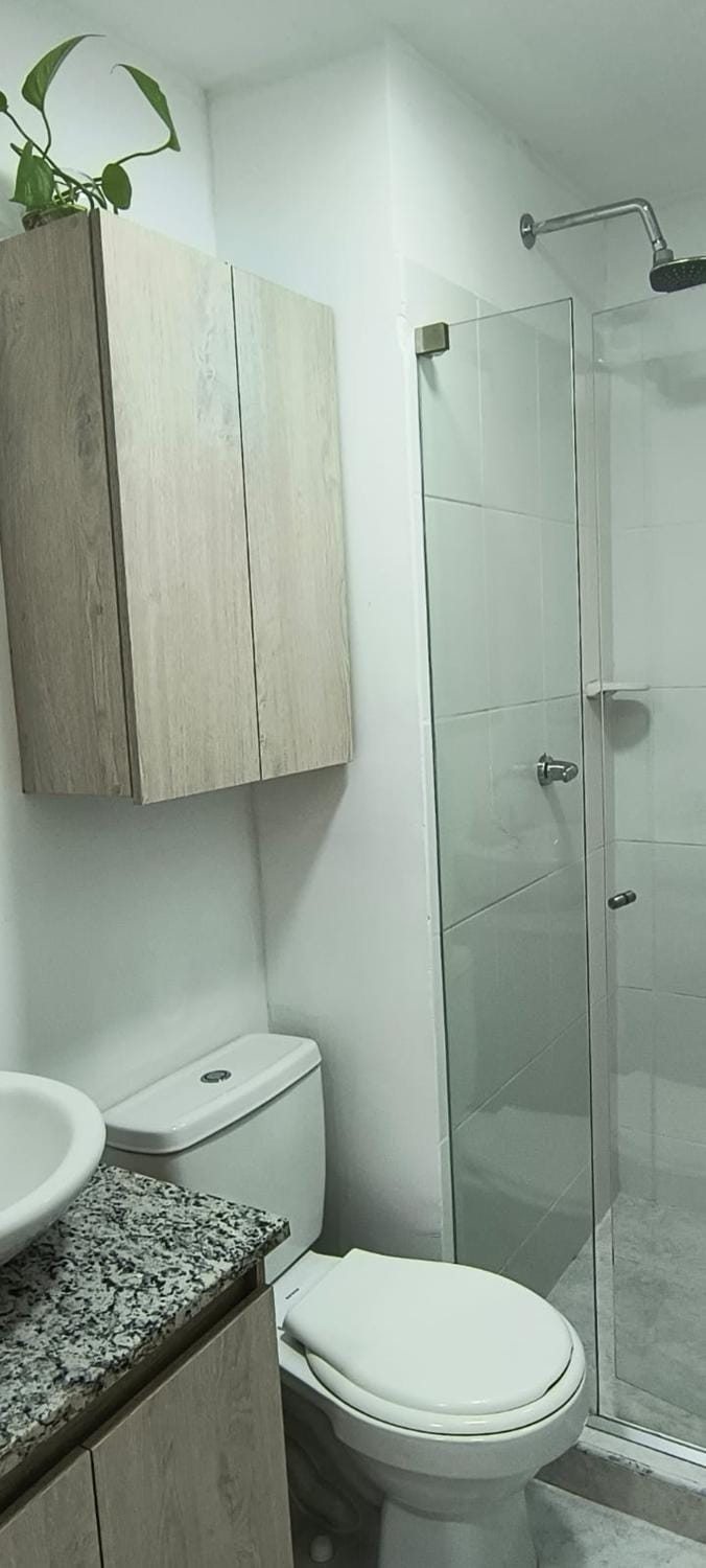Shower, Toilet, Bathroom