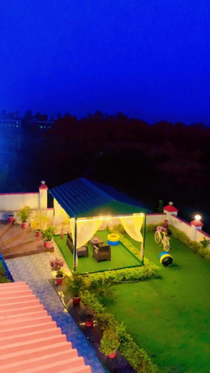 Night, Garden view