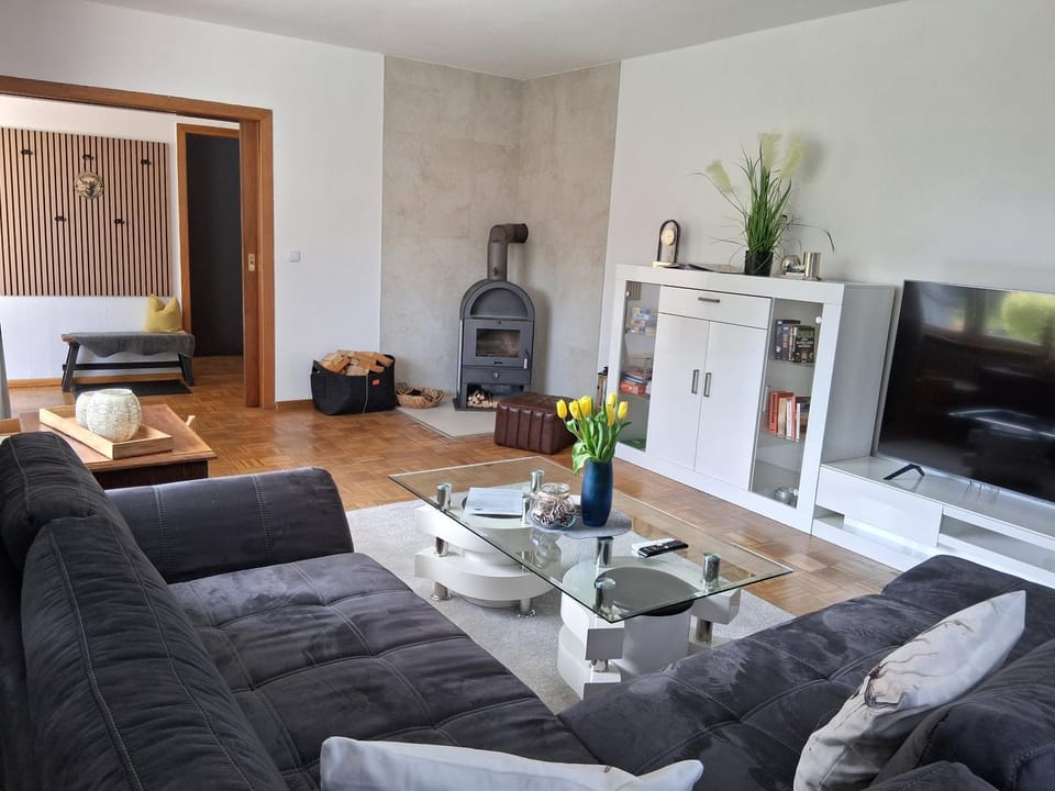 TV and multimedia, Living room, Seating area, Evening entertainment, fireplace