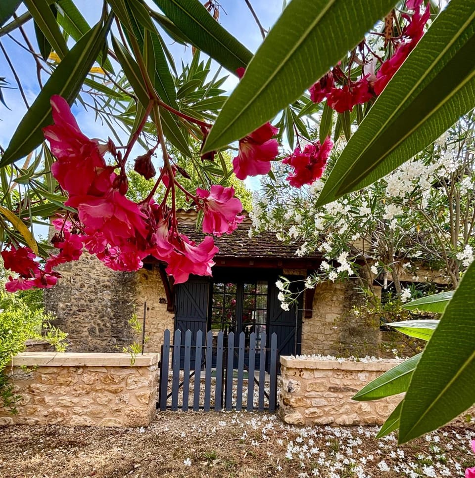 Maison Périgourdine près de Bergerac avec Spa privé House in Nouvelle-Aquitaine