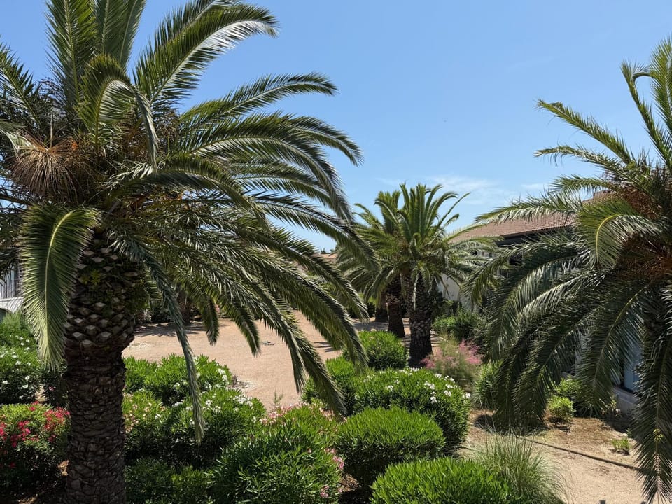 Natural landscape, Garden view