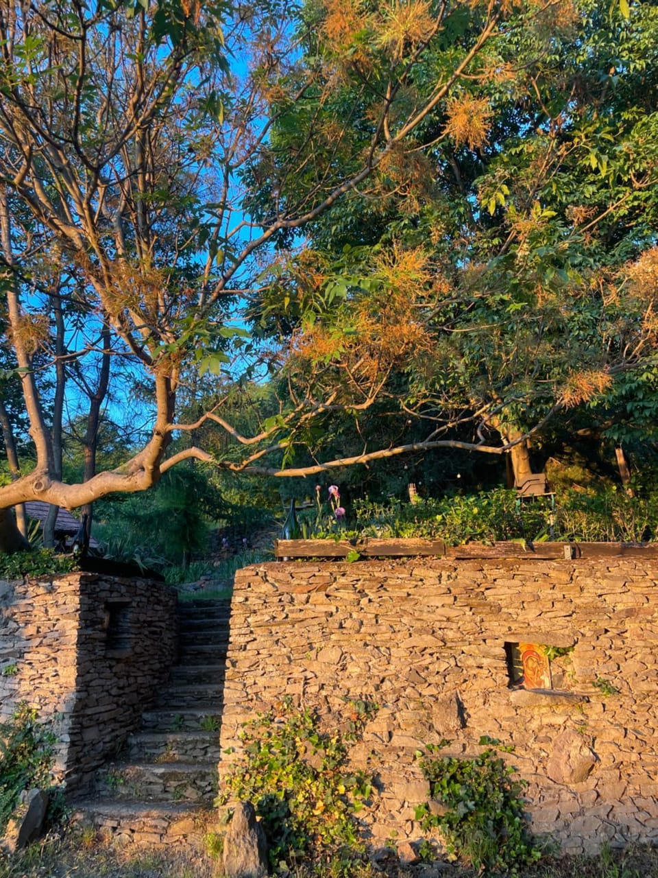 Natural landscape
