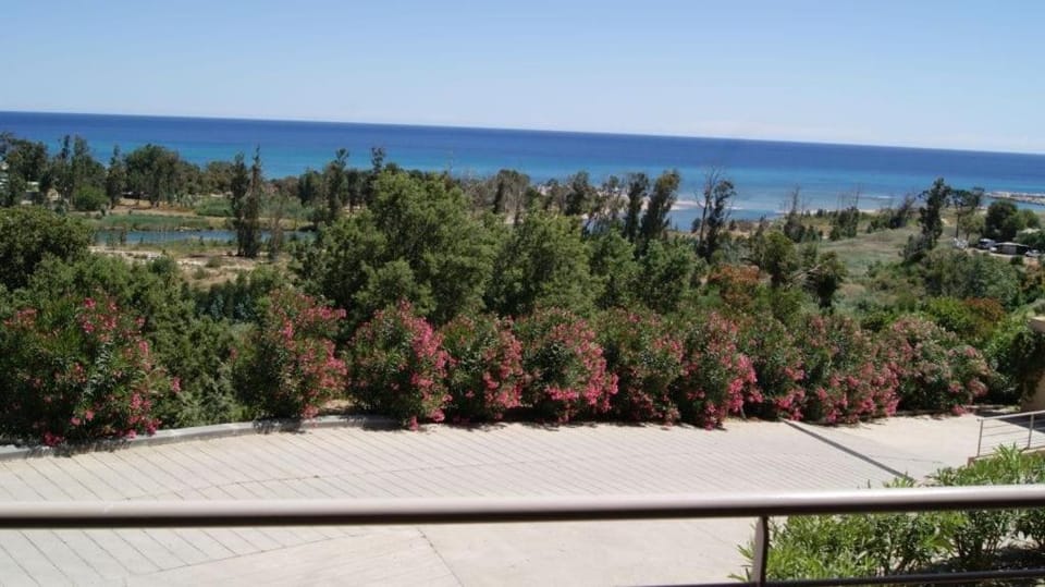 SOLENZARA sea view Apartment in Sari-Solenzara