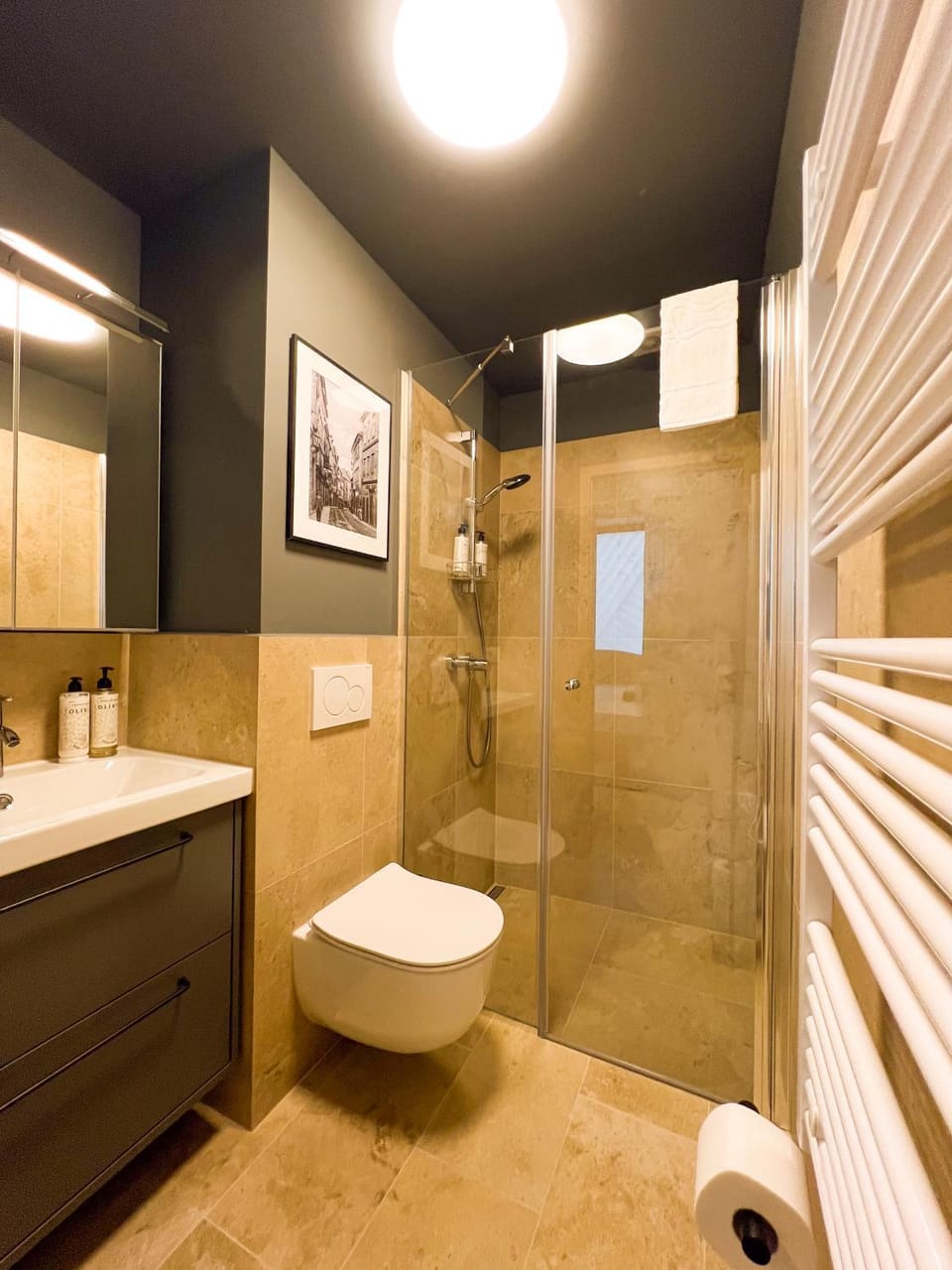 Shower, Toilet, Bathroom