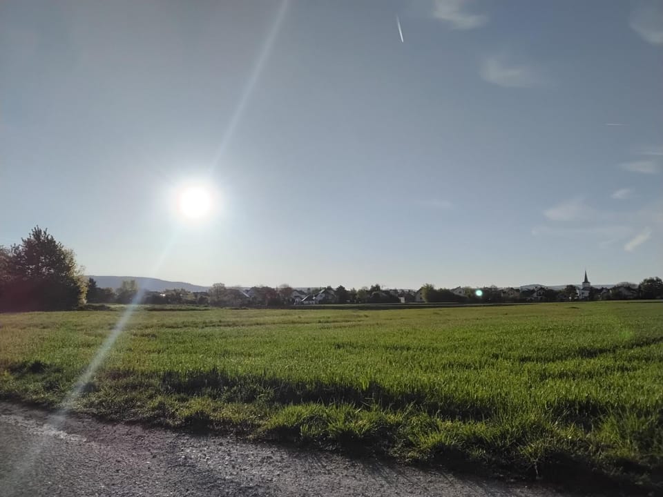 Natural landscape