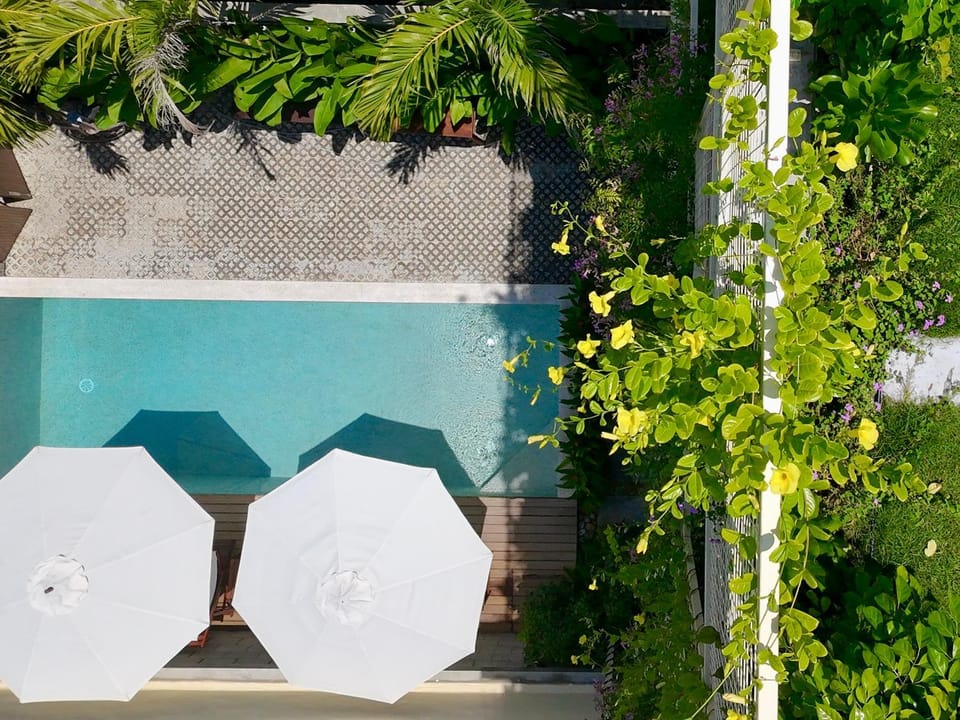 Garden, Garden view, Swimming pool