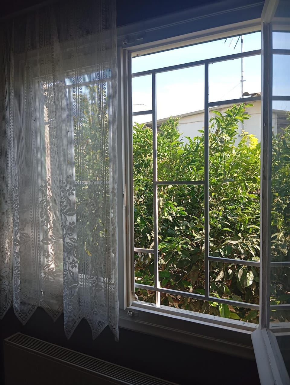 Spring, Garden, Garden view