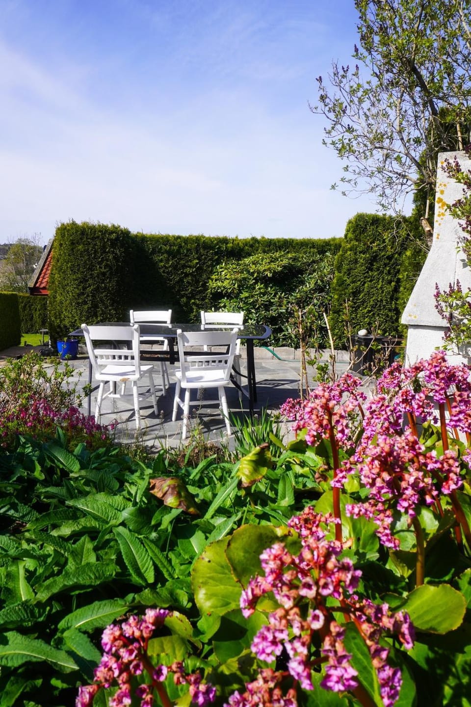 Øye på landet, 3 bedrooms Apartment in Viken, Norway