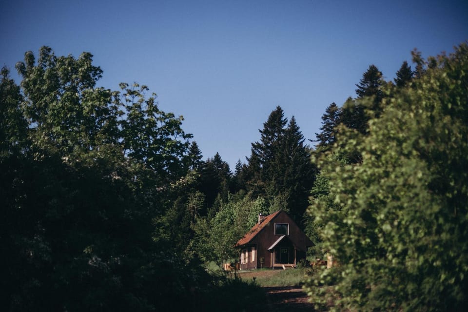 Mech i brzoza House in Slovakia