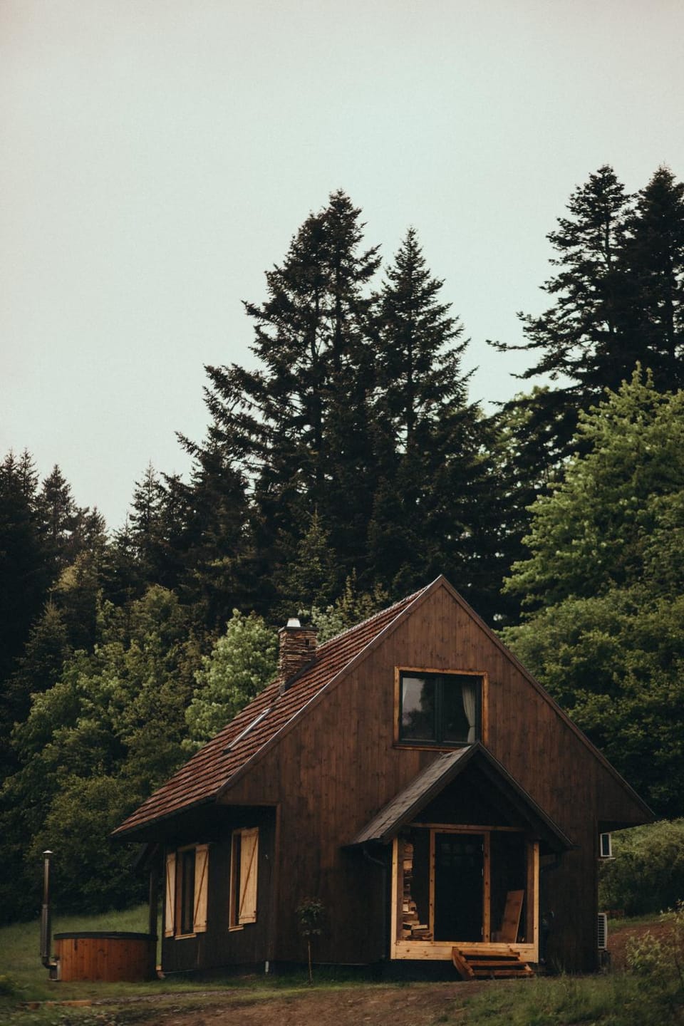 Mech i brzoza House in Slovakia