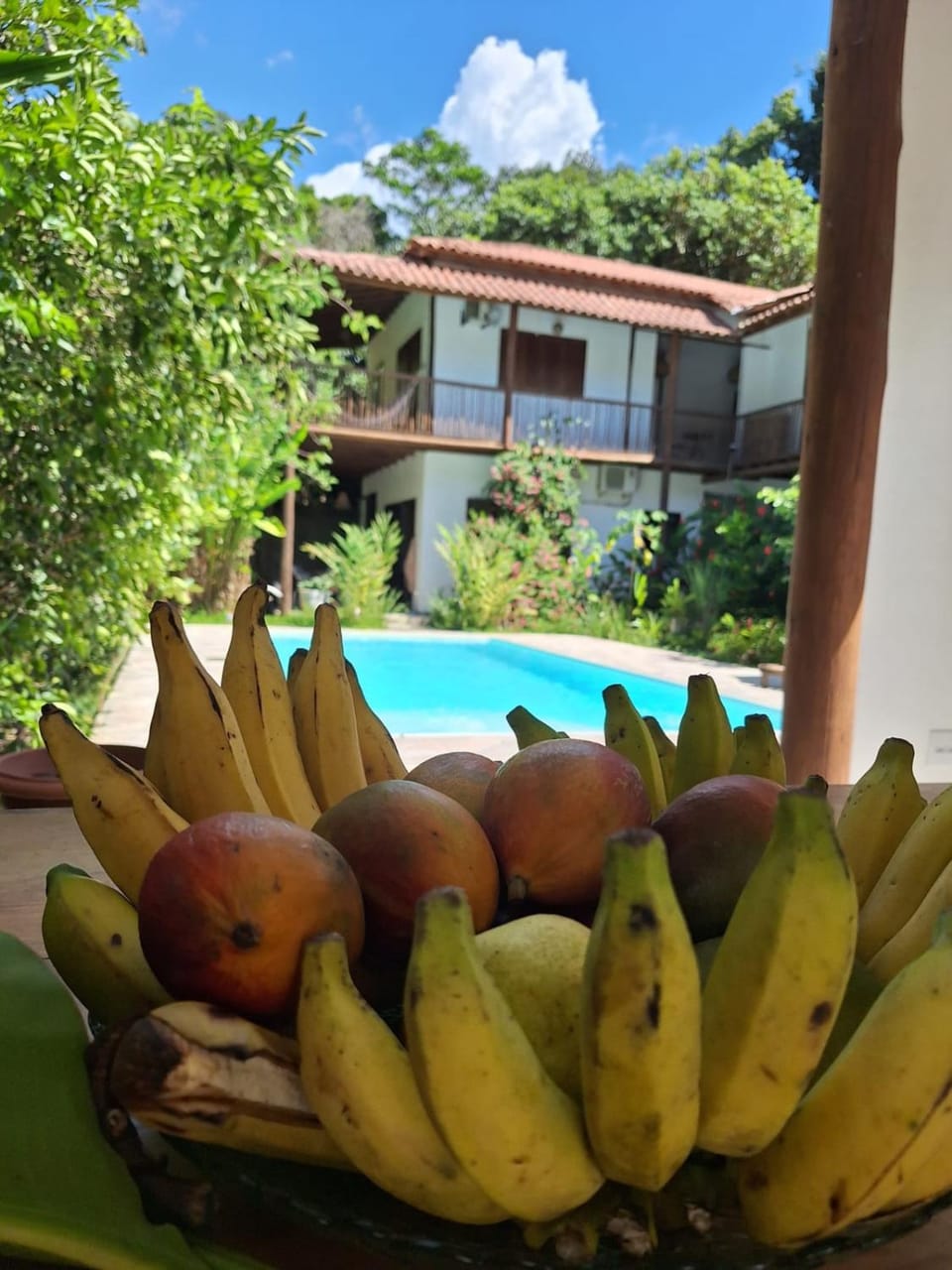 View (from property/room)