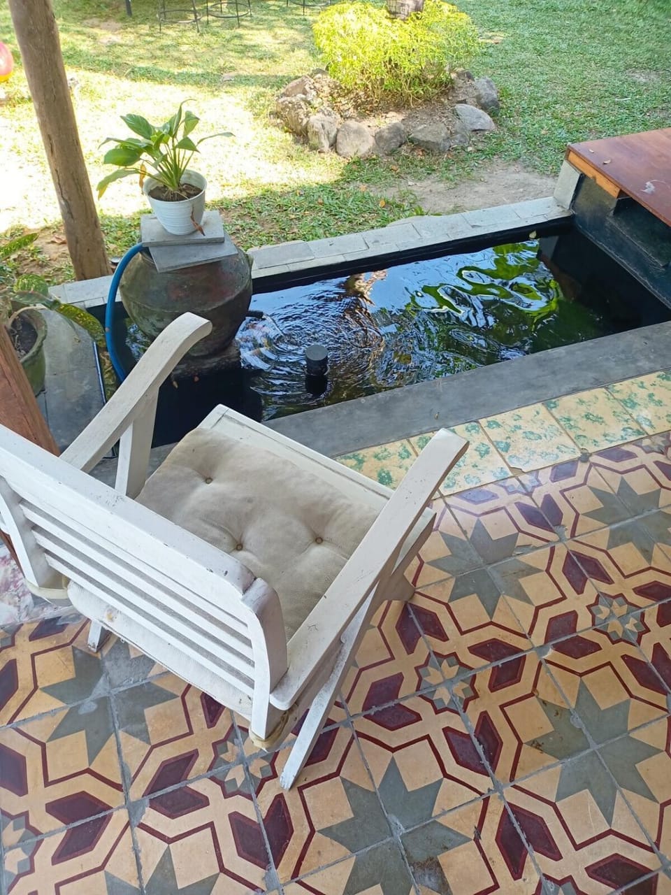 Natural landscape, Garden, Garden view, Pool view