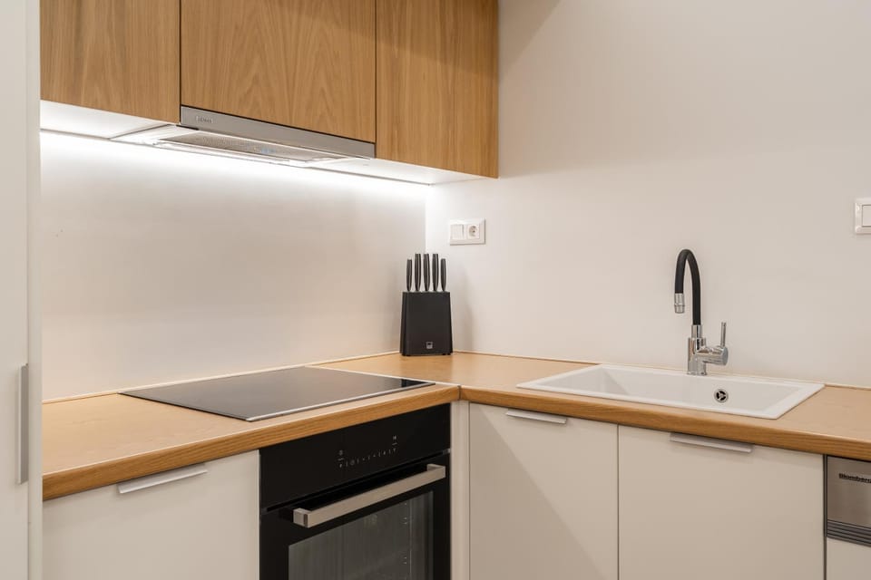 Kitchen or kitchenette, dishwasher, minibar, stove