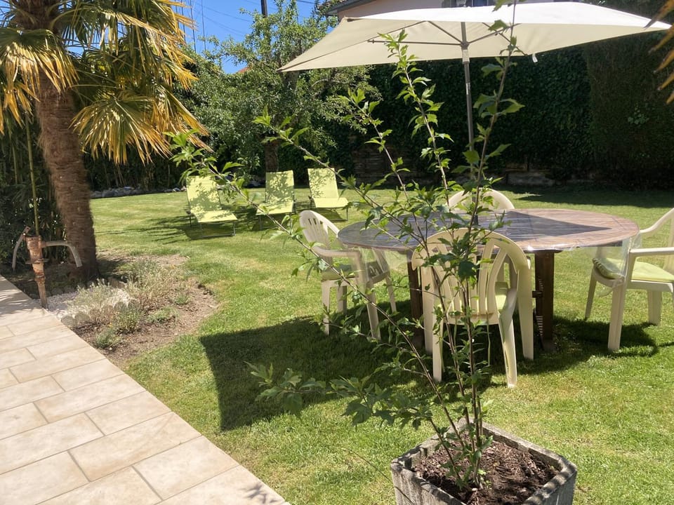 Dining area, Garden view