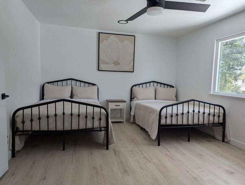 Bed, Photo of the whole room