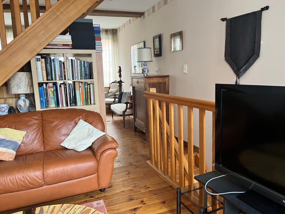 Library, TV and multimedia, Living room, Seating area