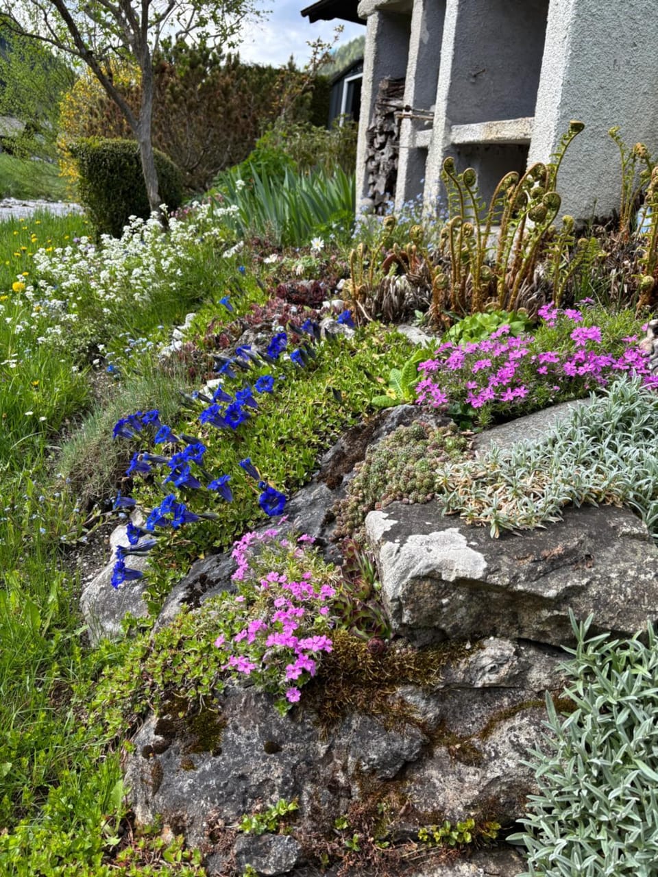 Garden