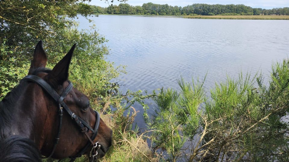Natural landscape, Hiking, Cycling, Lake view