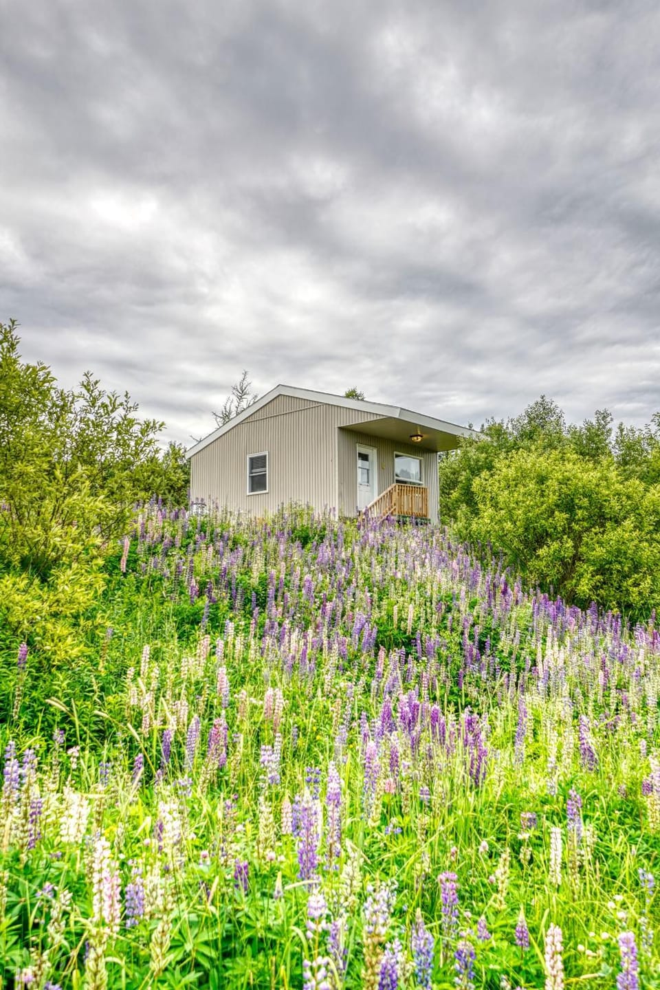 Property building, Spring, Day, Natural landscape