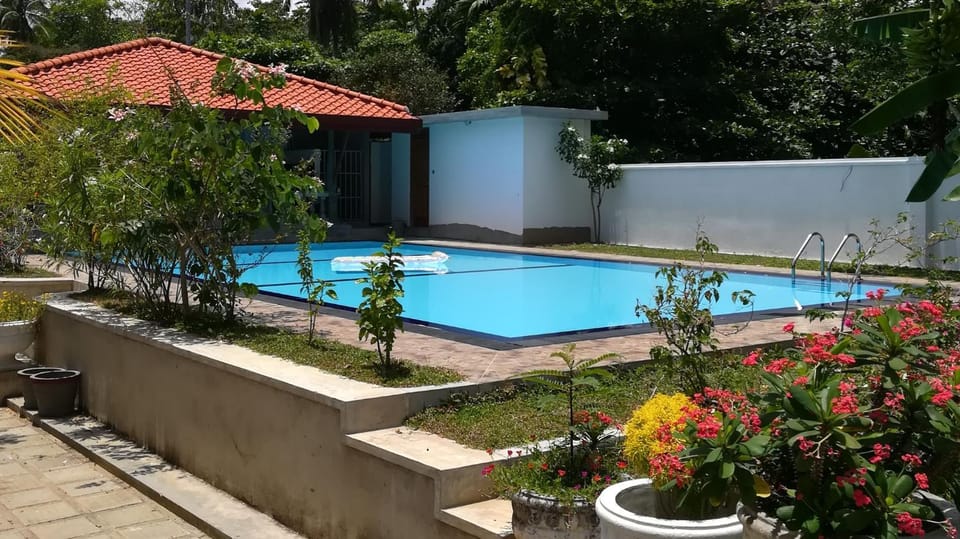 Restaurant/places to eat, Swimming pool