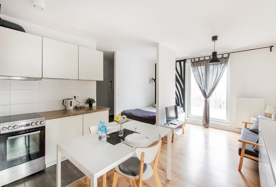 White Apartment With Terrace Apartment in Wroclaw