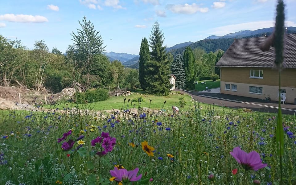 Natural landscape, Garden, Garden