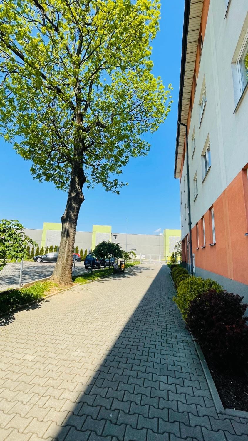 Apartament w Centrum Apartment in Poland