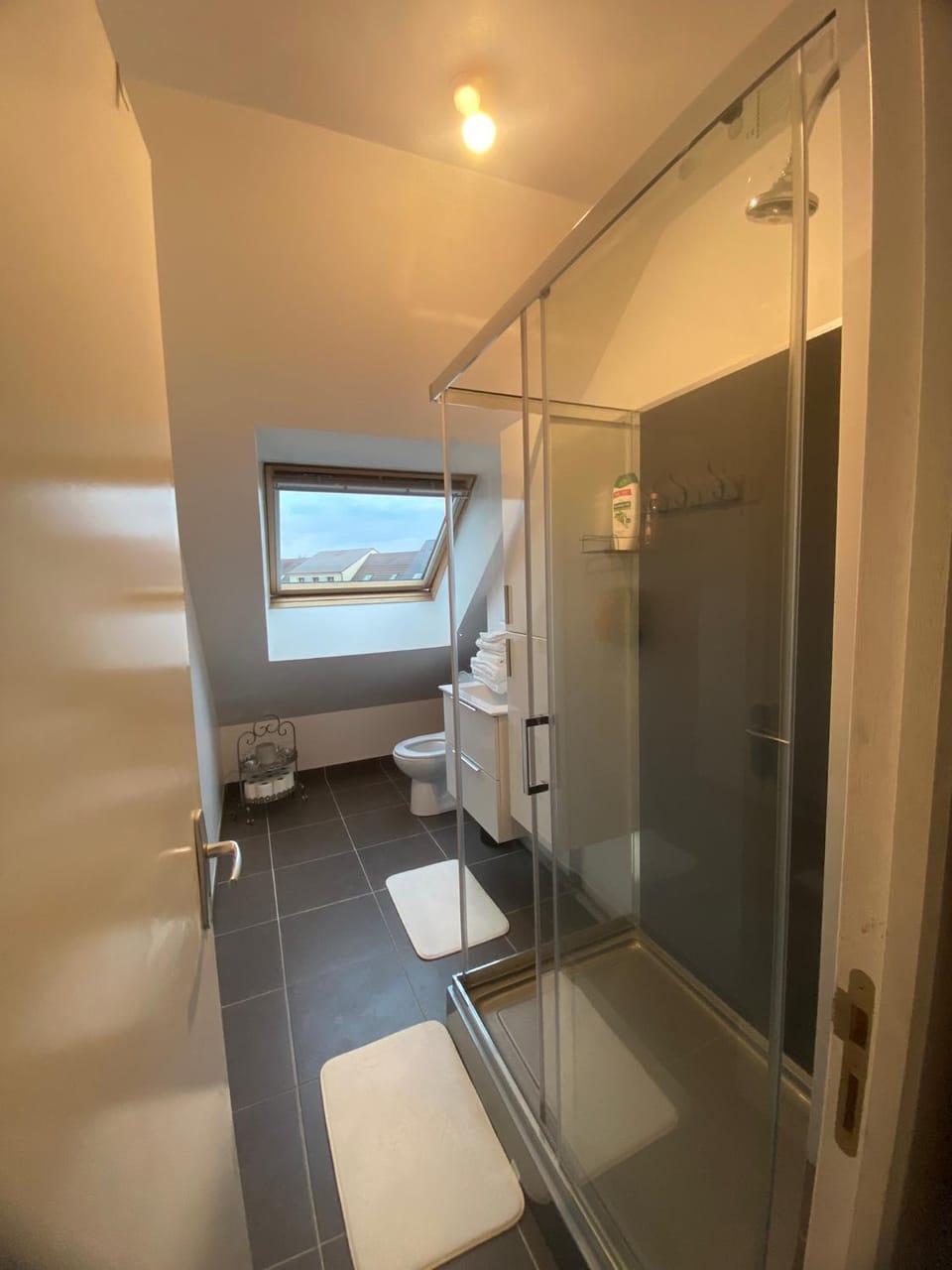 Shower, Toilet, Bathroom