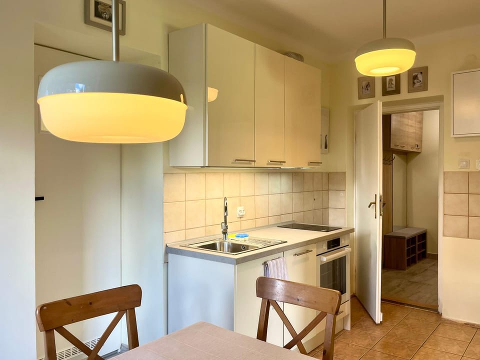 Kitchen or kitchenette, Dining area, pet friendly, stove