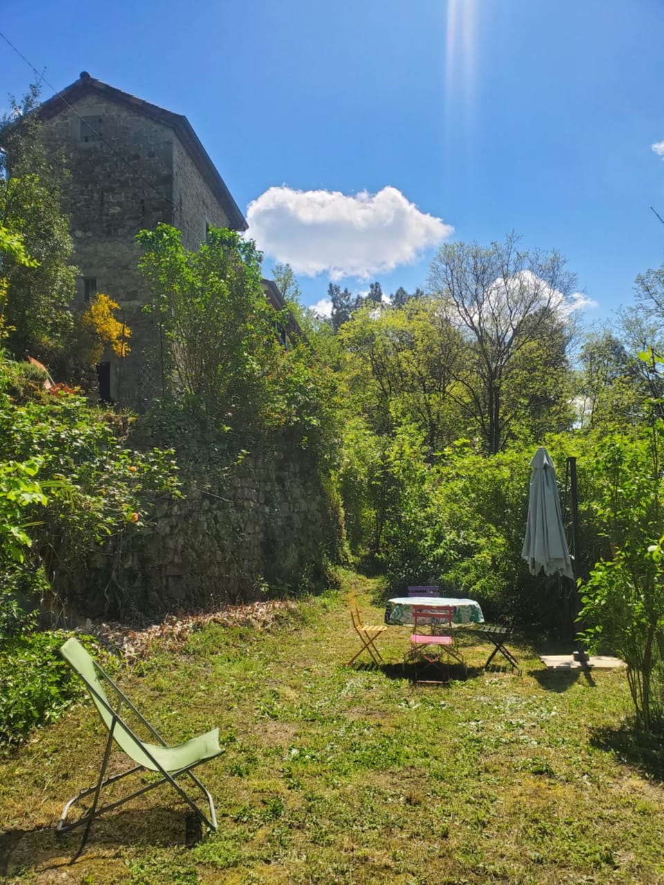 Natural landscape, Garden, Garden