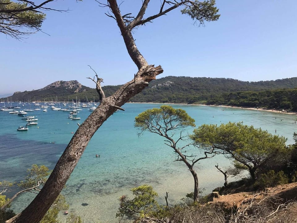 presqu'il de st Mandrier sur mer var location saisonnières House in French Riviera