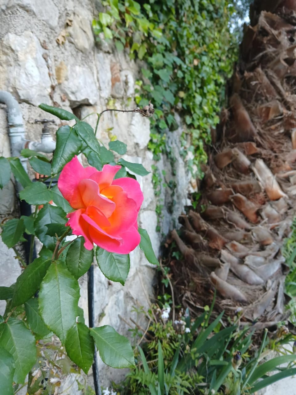 Villa Daja Menton Apartment in Menton