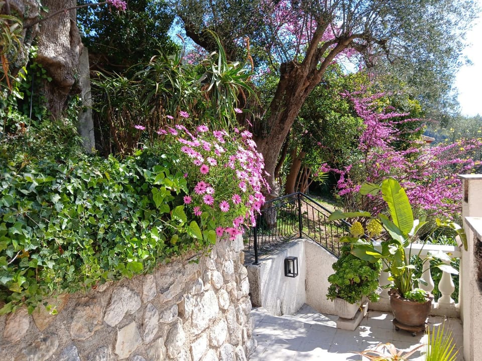 Villa Daja Menton Apartment in Menton