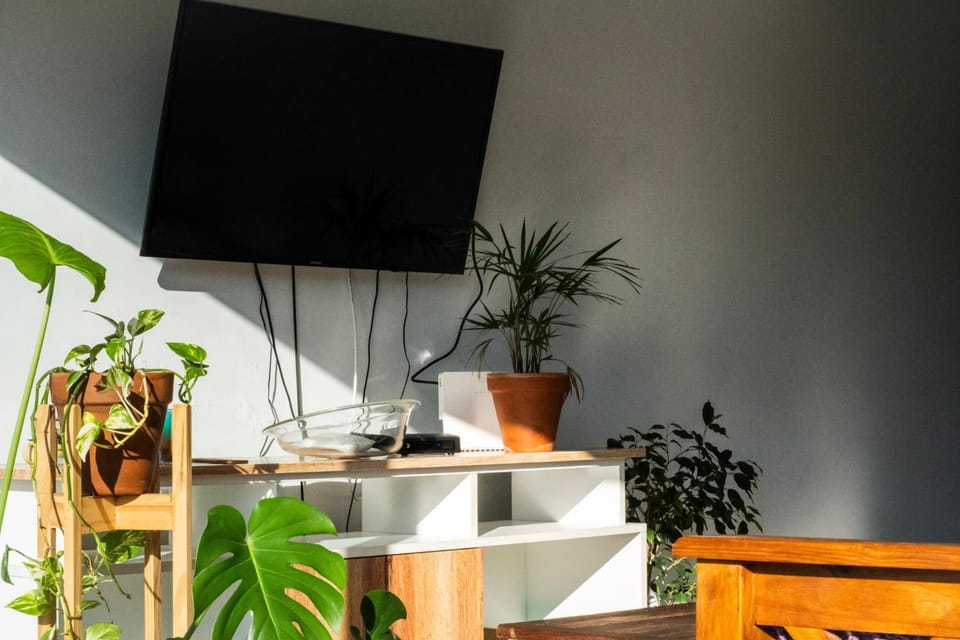 Communal lounge/ TV room, TV and multimedia, Living room