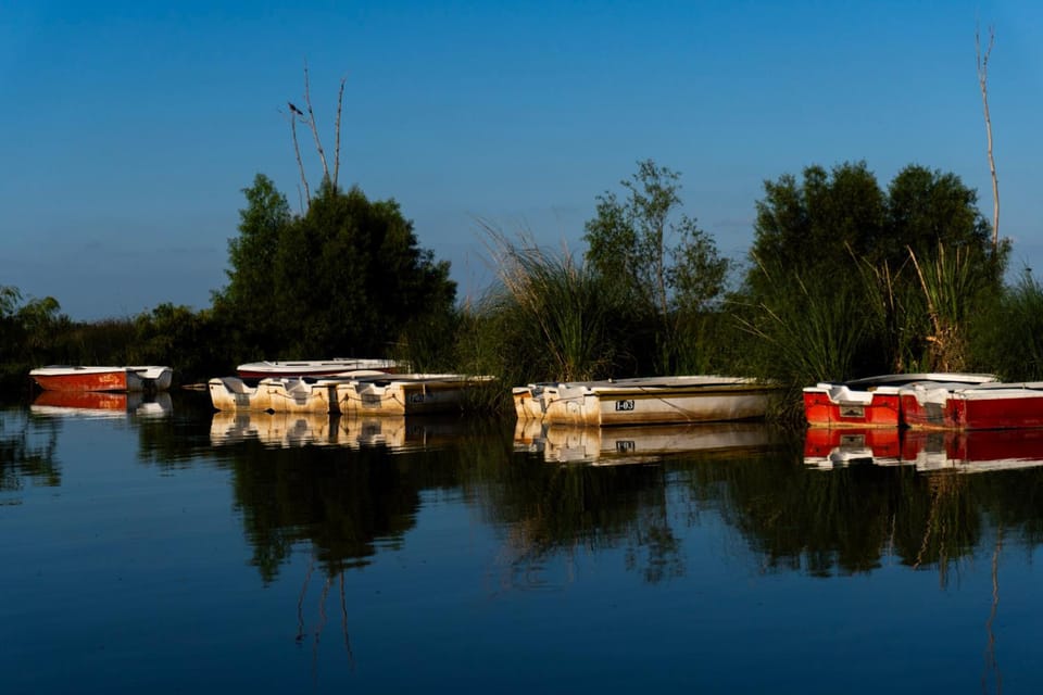 Day, Natural landscape, Activities, Lake view