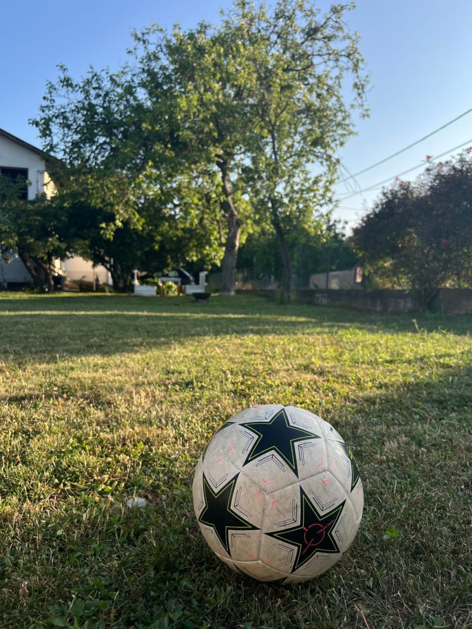 Day, Natural landscape, Garden, Garden view