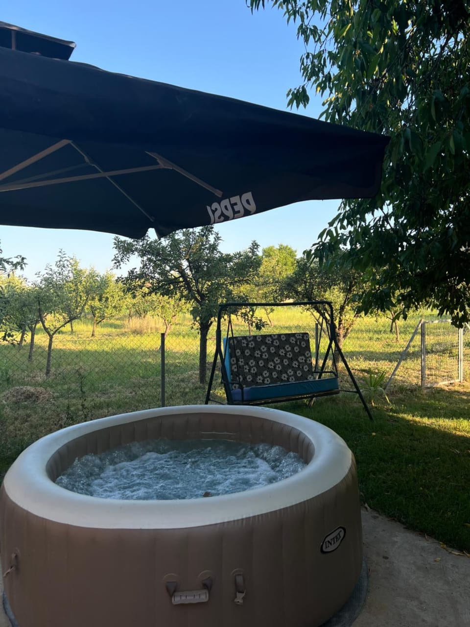 Natural landscape, Garden, Garden view, Pool view, Swimming pool