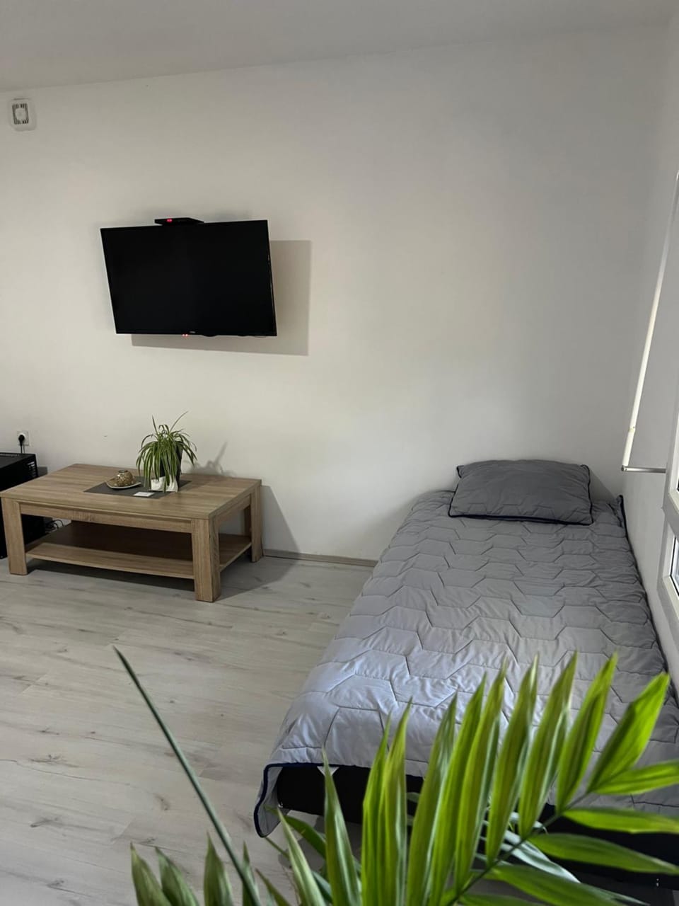 Bed, TV and multimedia, Photo of the whole room, Seating area, Bedroom