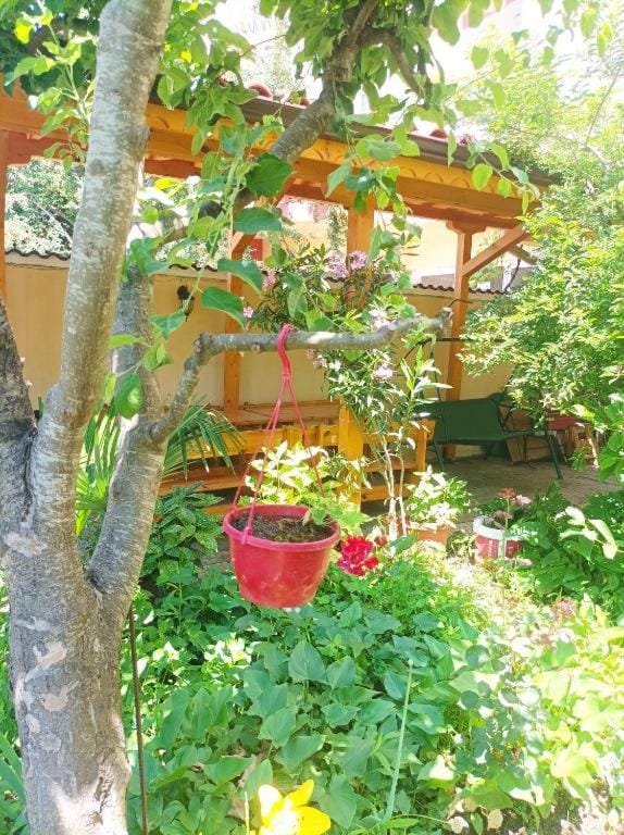 Family House Victoria' Garden Bed and Breakfast in Burgas Province