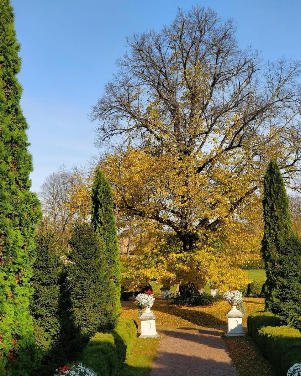 Natural landscape, Garden, Autumn