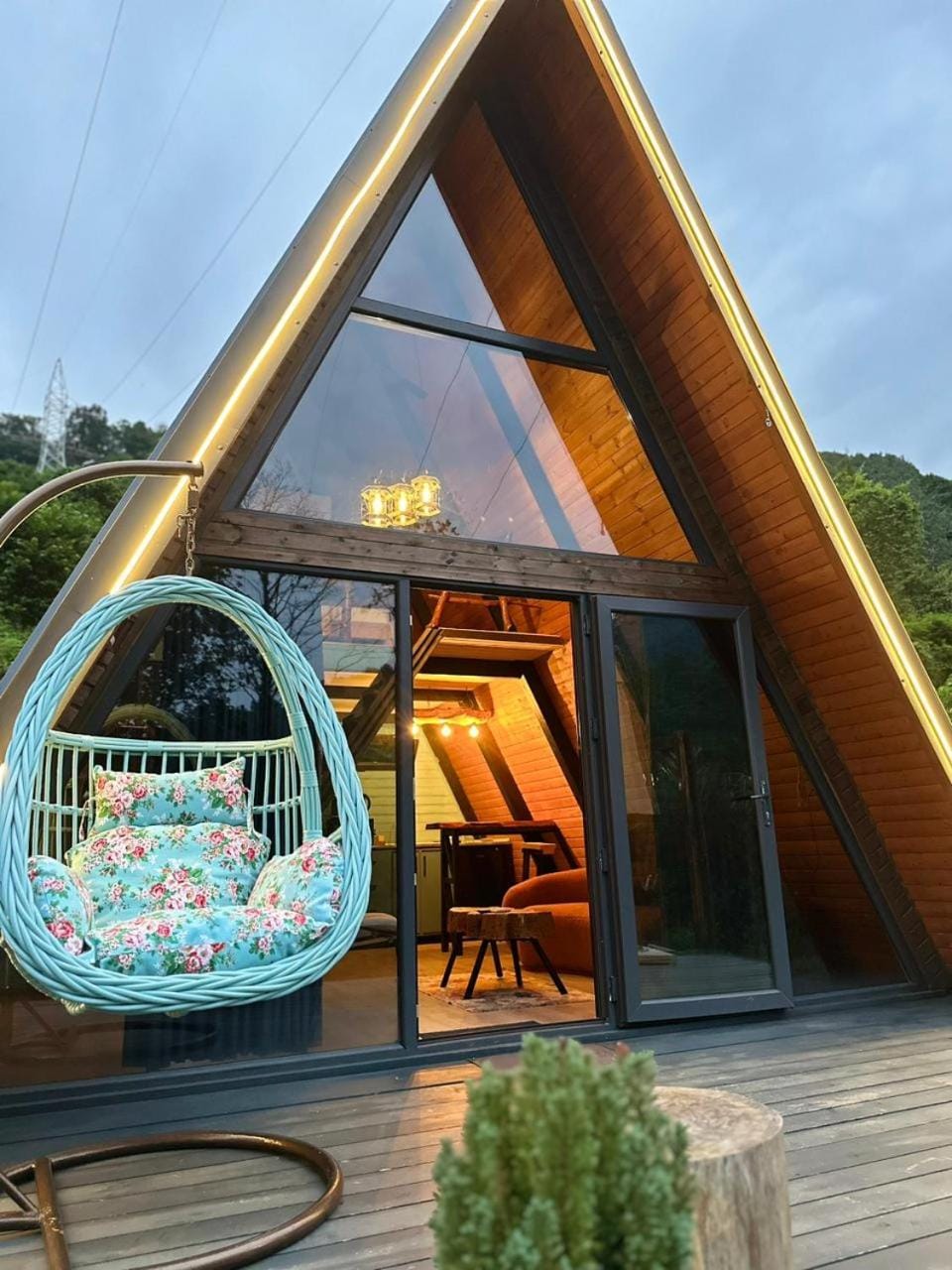 Patio, Day, cot
