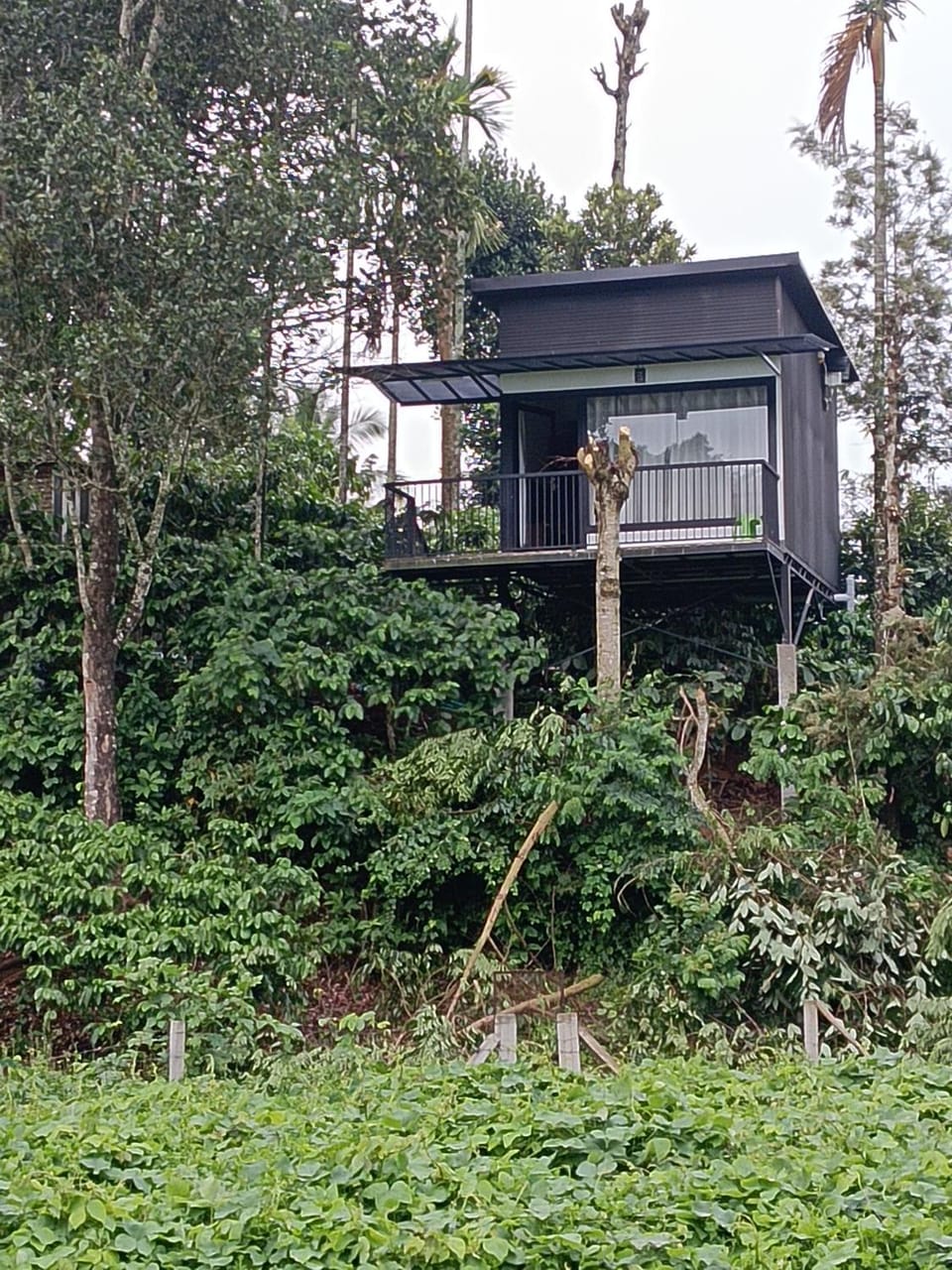 The Tree House Villa in Kerala