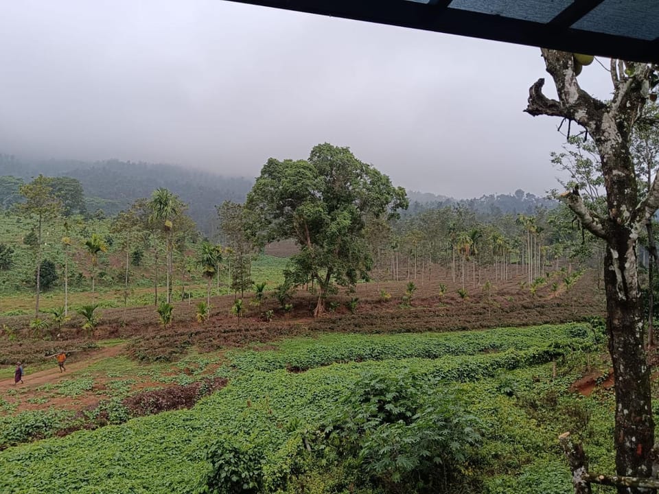 Garden, View (from property/room)