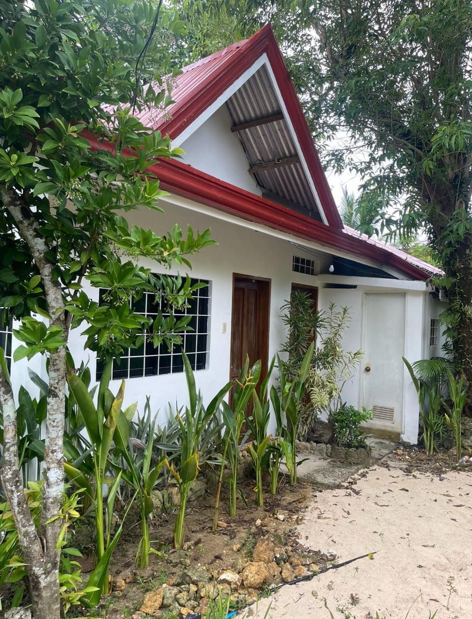 Property building, Garden, Garden view