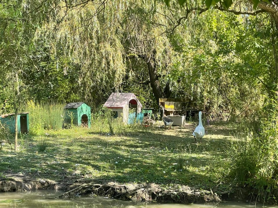 Gite Rive Charente Le Bateau House in Nouvelle-Aquitaine