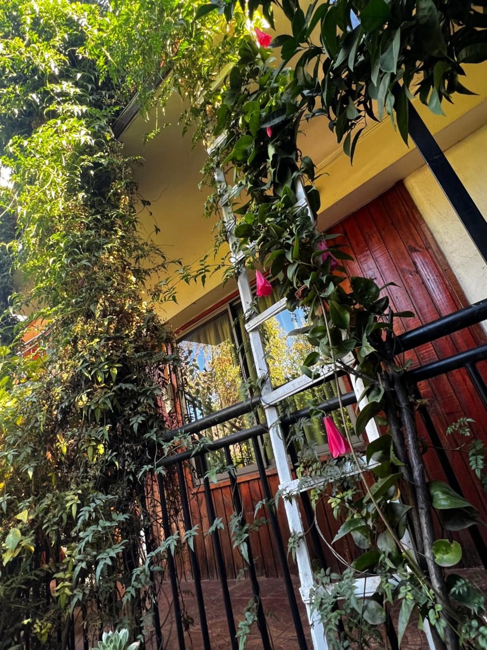 Property building, Spring, Day, Balcony/Terrace, Garden view