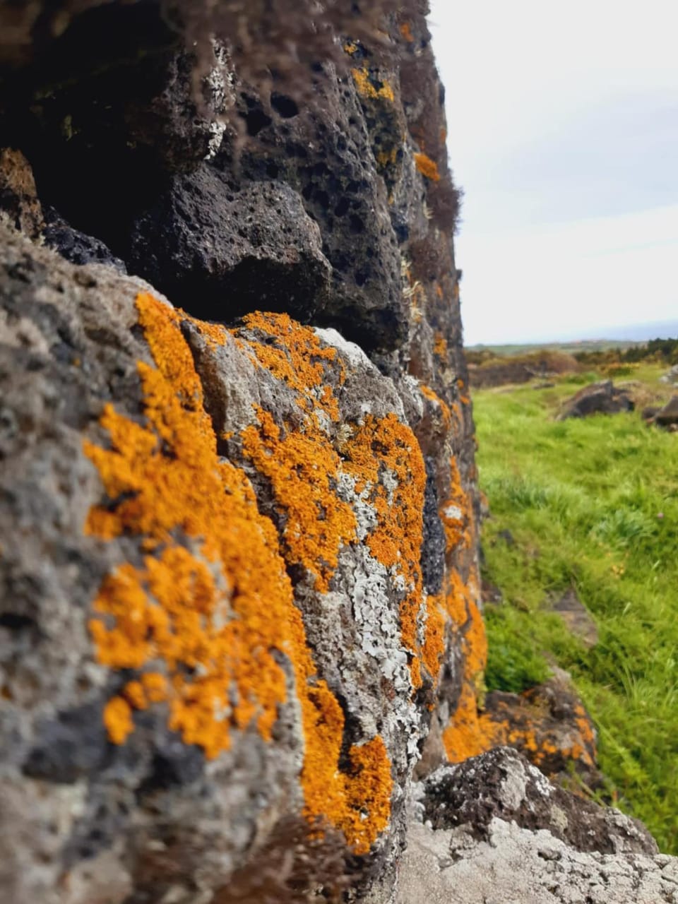 Nearby landmark, Natural landscape