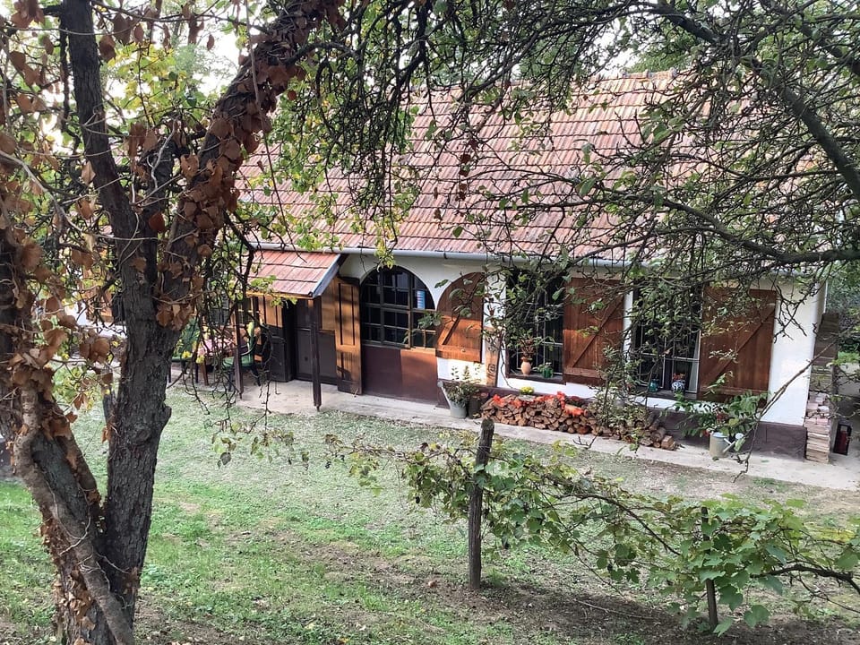 Ferienhaus Kisszölö Apartment in Hungary
